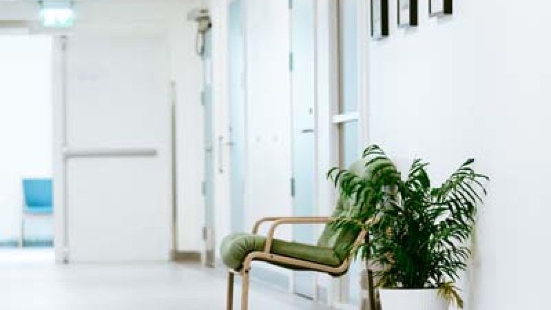 rehabilitert sykehusgang med stol og plante